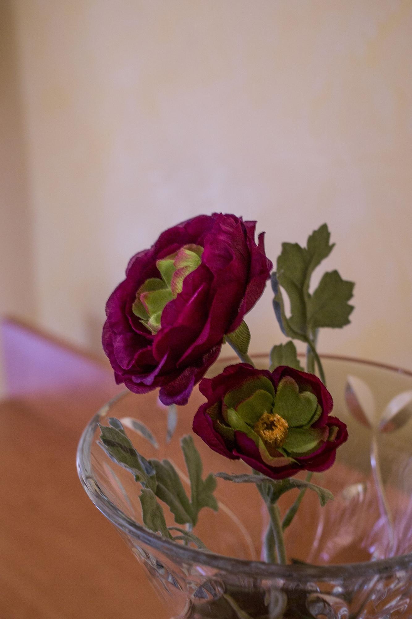 Hotel Angelica Firenze Esterno foto